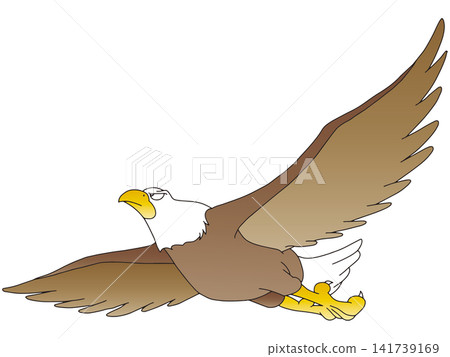 Hand-drawn animal illustration ☆ Bald Eagle Hand-drawn animal illustration ☆ Bald Eagle 141739169