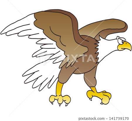 Hand-drawn animal illustration ☆ Bald Eagle Hand-drawn animal illustration ☆ Bald Eagle 141739170