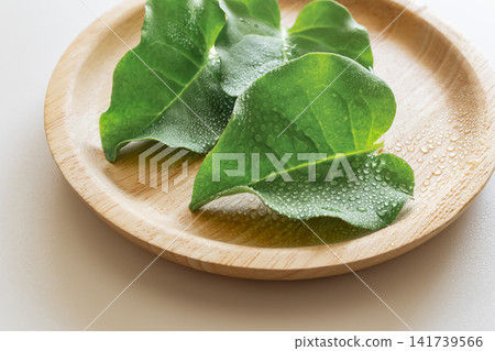 Okawakame (a type of seaweed), Yunnan Baiyao (a type of herbal medicine). Okawakame (a type of seaweed), Yunnan Baiyao (a type of herbal medicine). 141739566