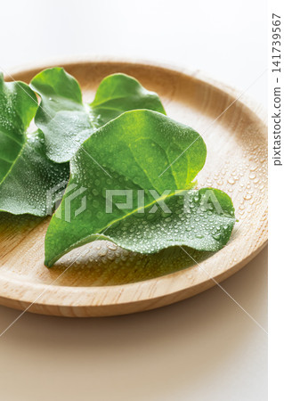 Okawakame (a type of seaweed), Yunnan Baiyao (a type of herbal medicine). Okawakame (a type of seaweed), Yunnan Baiyao (a type of herbal medicine). 141739567