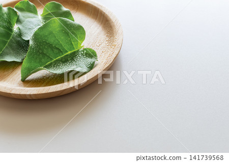 Okawakame (a type of seaweed), Yunnan Baiyao (a type of herbal medicine). Okawakame (a type of seaweed), Yunnan Baiyao (a type of herbal medicine). 141739568