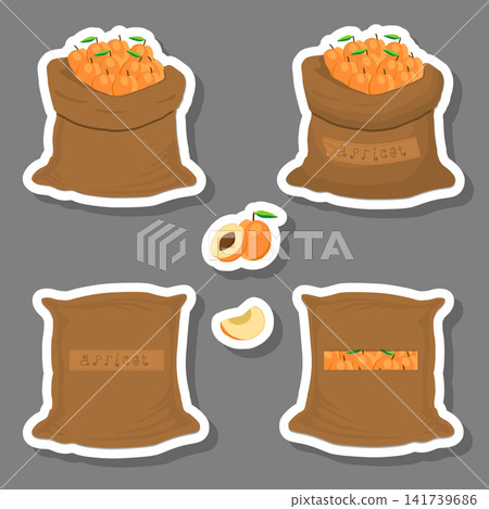 Illustration on theme big set different types round apricot Illustration on theme big set different types round apricot 141739686