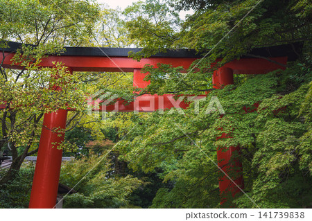 Torii gate of the west approach to Shimogamo Shrine, Kyoto Torii gate of the west approach to Shimogamo Shrine, Kyoto 141739838