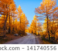 Rural road winding through a colorful autumn forest. Rural road winding through a colorful autumn forest. 141740556