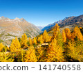 Mountain range above a autumn forest on a clear day. Mountain range above a autumn forest on a clear day. 141740558