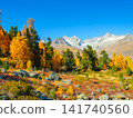 Mountain range above a autumn forest on a clear day. Mountain range above a autumn forest on a clear day. 141740560