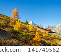 Passenger train on a railway in Switzerland. Autumn nature in the Alps. Passenger train on a railway in Switzerland. Autumn nature in the Alps. 141740562