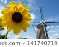 Sunflowers and windmills 141740719