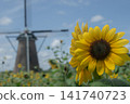 Windmill and sunflower 141740723