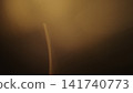 real lens flare from back sunlight over dark background for overlay 141740773