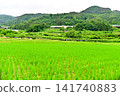 A highway and railway line running between rice paddies and mountains in summer. 141740883