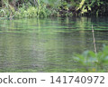 The clear waters and lush green surface of the Kakita River 141740972