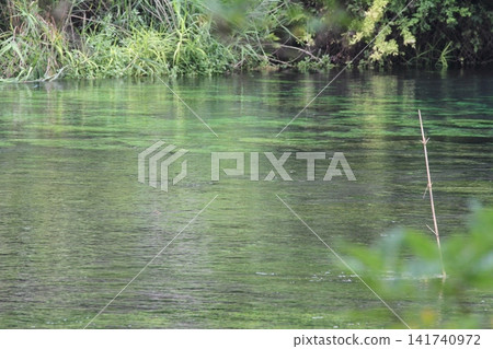 The clear waters and lush green surface of the Kakita River The clear waters and lush green surface of the Kakita River 141740972