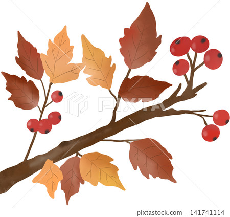 Beautiful watercolor autumn branch featuring warm golden and brown leaves with vibrant red berries Beautiful watercolor autumn branch featuring warm golden and brown leaves with vibrant red berries 141741114