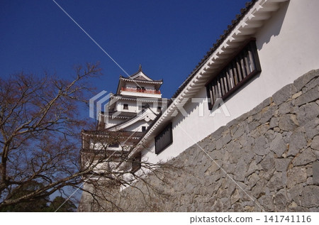 唐津城,正門和城樓的景色 唐津城,正門和城樓的景色 141741116