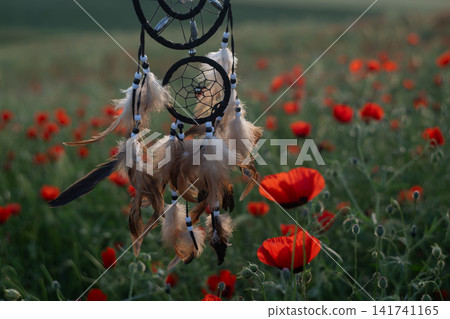Dreamcatcher Moving in Wind Against Blooming Poppy Field at Sunset. Dreamcatcher Moving in Wind Against Blooming Poppy Field at Sunset. 141741165