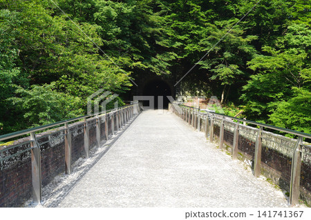 Usui Pass, Meganebashi Bridge, abandoned railway tunnel 141741367