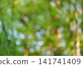 A green background with a swirling bokeh effect, blurred summer tree leaves through which warm sunlight shines. 141741409