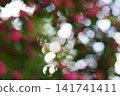 An abstract floral background with a bokeh effect, featuring blurred pink flowers and green leaves bathed in sunlight. 141741411