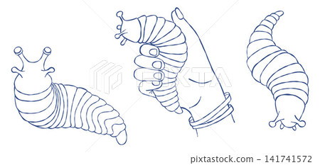 Autism Sensory Fidget Slug Toy. ASD Integration Stimming Tool Collection. Isolated Blue Line Art. ADHD Anxiety Relief Calming Articulated Caterpillar Hand Pack. Vector Illustration on White. 141741572