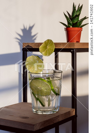 Refreshing Lime Drink in Sunlight by a Small Cactus 141741602