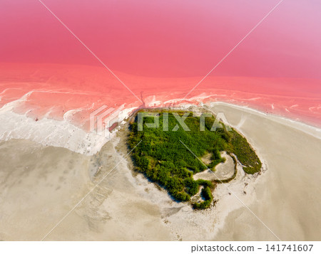 Pink Salt Lake and Green Island From Above Pink Salt Lake and Green Island From Above 141741607