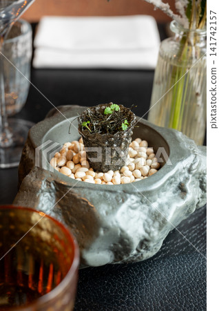 Elegant Aperitif from the Chef 141742157