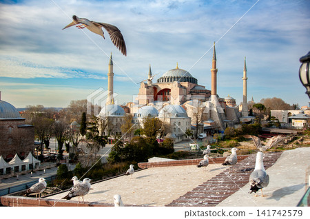 Seagull and Hagia Sophia From a Rooftop in Istanbul Seagull and Hagia Sophia From a Rooftop in Istanbul 141742579
