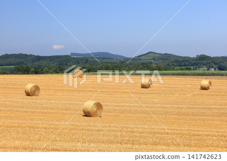 Straw bales scattered across the hilly fields of Hokkaido. Straw bales scattered across the hilly fields of Hokkaido. 141742623