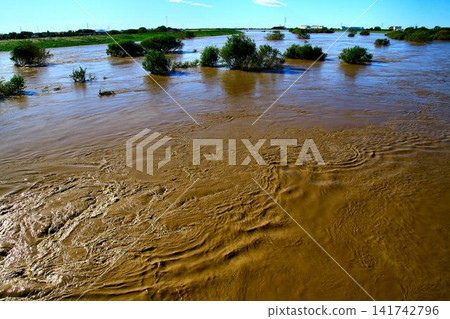 The Edogawa River was flooded by Typhoon Hagibis in 2019. 141742796