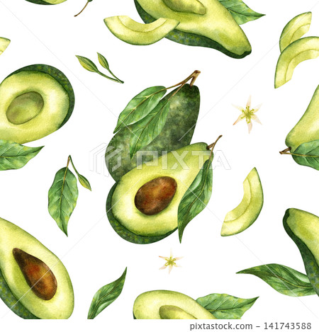 Seamless watercolor avocado pattern isolated on white background. Hand drawn botanical whole avocados, cut halves with pits, green leaves, splashes. Tropical food for textile design, wrapping pape Seamless watercolor avocado pattern isolated on white background. Hand drawn botanical whole avocados, cut halves with pits, green leaves, splashes. Tropical food for textile design, wrapping pape 141743588