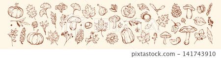 Autumn season doodle set, hand drawn fall whimsical line illustration print, October harvest pumpkin 141743910