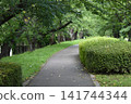 一條無人值守的步行小徑蜿蜒穿過鬱鬱蔥蔥的公園。 141744344