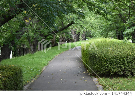 An unmanned walking path winds through a lush green park. An unmanned walking path winds through a lush green park. 141744344
