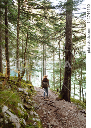 Woman with backpack hiking outdoors in the Forest. Trekking in the Pine Woods. Hiking lifestyle Woman with backpack hiking outdoors in the Forest. Trekking in the Pine Woods. Hiking lifestyle 141744560
