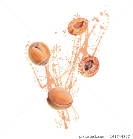 Apricots against a background of juicy splashes. Isolated watercolor illustration for restaurant menus, packaging, culinary blogs, postcards, natural cosmetics label designs, healthy eating articles. Apricots against a background of juicy splashes. Isolated watercolor illustration for restaurant menus, packaging, culinary blogs, postcards, natural cosmetics label designs, healthy eating articles. 141744857
