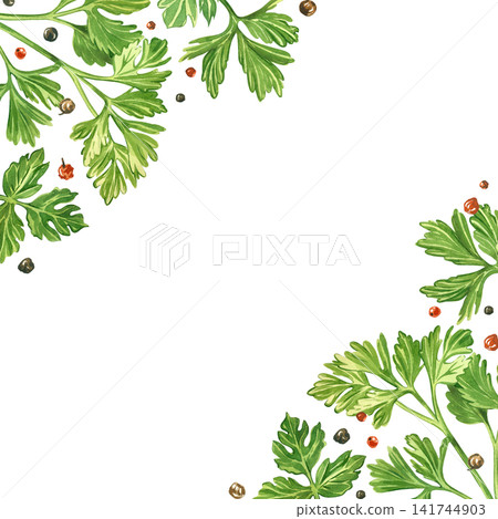 Watercolor frame made of parsley and peppercorns, hand-painted in watercolor. A botanical illustration for the background of a menu or recipe card, the design of kitchen textiles, tableware. Watercolor frame made of parsley and peppercorns, hand-painted in watercolor. A botanical illustration for the background of a menu or recipe card, the design of kitchen textiles, tableware. 141744903