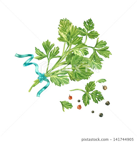 A bunch of fresh parsley, tied with a blue ribbon and peppercorns. Everything is hand-painted in watercolor. Watercolor composition for tableware decoration, printing on kitchen textiles, and recipe. A bunch of fresh parsley, tied with a blue ribbon and peppercorns. Everything is hand-painted in watercolor. Watercolor composition for tableware decoration, printing on kitchen textiles, and recipe. 141744905