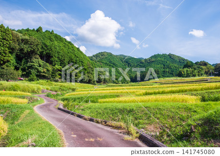 Rice paddies before harvest: "Sakamoto Rice Terraces" (Kameyama City, Mie Prefecture) Rice paddies before harvest: "Sakamoto Rice Terraces" (Kameyama City, Mie Prefecture) 141745080
