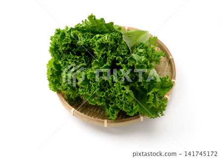 新鮮綠葉生菜 新鮮綠葉生菜 141745172