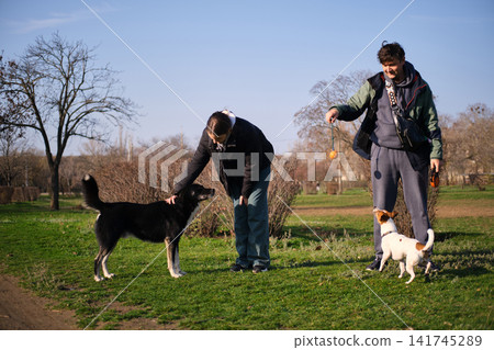 Family moment with dogs in park Family moment with dogs in park 141745289
