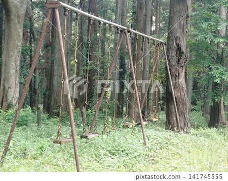 A retro swing in the forest A retro swing in the forest 141745555