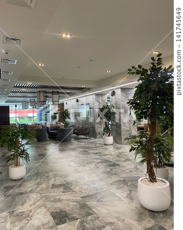 Modern hotel lobby interior with lounge area, armchairs and indoor plants in contemporary design Modern hotel lobby interior with lounge area, armchairs and indoor plants in contemporary design 141745649