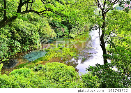 Clear streams flowing from the Kakitagawa springs and lush green scenery Clear streams flowing from the Kakitagawa springs and lush green scenery 141745722