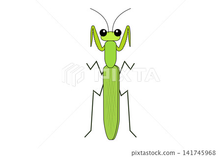 Illustration of a green praying mantis Illustration of a green praying mantis 141745968