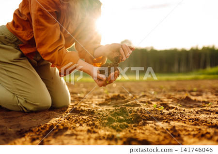 Farmer's woman's hands touch the soil in the field. Concept of gardening, agriculture. Farmer's woman's hands touch the soil in the field. Concept of gardening, agriculture. 141746046