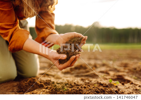 Farmer's woman's hands touch the soil in the field. Concept of gardening, agriculture. Farmer's woman's hands touch the soil in the field. Concept of gardening, agriculture. 141746047