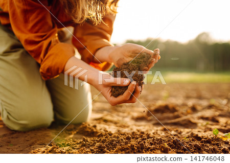 Farmer's woman's hands touch the soil in the field. Concept of gardening, agriculture. Farmer's woman's hands touch the soil in the field. Concept of gardening, agriculture. 141746048
