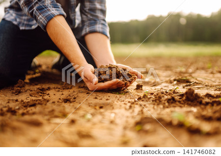 Farmer's hands take the soil from field and check its quality. Experienced male hands hold the soil. Farmer's hands take the soil from field and check its quality. Experienced male hands hold the soil. 141746082