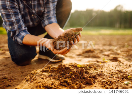 Farmer's hands take the soil from field and check its quality. Experienced male hands hold the soil. Farmer's hands take the soil from field and check its quality. Experienced male hands hold the soil. 141746091
